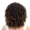 Blandad peruk kinky lockiga syntetiska peruker för svarta kvinnor kort brun fluffig peruk med bang värme resisitant hår