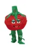 2019 Wysokiej jakości Hot Raspberry Character Cartoon Character Mascot Costume Custom-Made