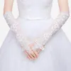 Vita brudhandskar under armbågens längd Bröllopshandskar Kvinnor Fingerless Lace Applique Bride Glove Wedding Dress Accessories272L