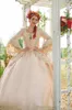 Pink Gothic Ball Gown Vintage 1920s Style Scoop Full length Long Sleeve Prom Dresses Custom Make Victorian Gothic evening Dress br6904662