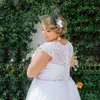 Lace Plus Size Wedding Dresses Cheap 2019 Crystal Sashes V-neck Lace-up Beach Wedding Dress Bridal Gowns Custom Made Party Dress For Bride