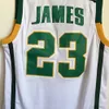 High School LeBron James Jerseys 23 Men Basketball Irish St. Vincent Mary Jerseys For Sport Fans Team Green Away Brown White Color