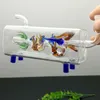 Glasrökningsrör tillverkar handblåsta vattenpipa bongs gratis tillbehör för klassisk fyrkantig drake potten
