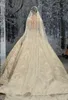 Ziad Nakad Vintage Bröllopsklänningar Sweep Train Lace Applique Sequins Pärlor Långärmad Bröllopsklänning Hollow Back Plus Size Bridal Dress 4478