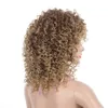 Court Afro Kinky Curly Wig Perruques Synthétiques pour Femmes Cheveux Afro Naturels Noirs