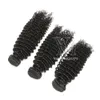 Lote de tecela brasileiro de vmae 3pcs lote não processado Facacionado Extensões de cabelo humano virgem BARMA BLACK CALINE NATURA