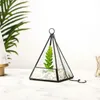 현대 피라미드 모양 유리 재배자 즙이 많은 공기 공화국 선장 테라리움 마이크로 조경 온실 중심 꽃 화분