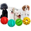 Update rubber kauwbalhonden speelgoed Training speelgoed in hondenvoer tandenborstel kauwen speelgoedvoedselballen huisdierproduct schip