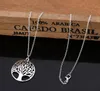 Collana con ciondolo da donna con albero della vita vivente placcato alla moda con catena in argento per regalo di Natale per gioielli da donna