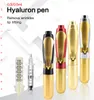 0.30.5 Hyaluron Pen Derma Mesotherapy Injektionspistol för läpplyftning Anti-rynk Nej Nål Skönhetsmaskin Läppinsprutning NY 2020