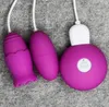 Vibrateur de langue BDSM sucer lick 10 Mode jouets sexuels pour femmes masturbateur Télécommande Tonnemon Stimulateur de clitoris USB Charge