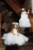 Новая Симпатичная белый Тюль принцесса бальных платья для свадебного банкета маленьких детей платья девушка цветка Puffy Тюль юбка рукава танцующего платья