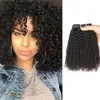 Maleisische 100% menselijke haarextensies afro kinky krullende clip-in haarproducten 120 g clip in natuurlijke kleur 120g 8-24 inch