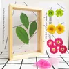 Nordic Style Gedroogde Bloem Bladeren DIY Geproefd Plant Fotolijsten Dubbelzijdig Glas Houten Frame Woondecoratie Wall Art 1pc1