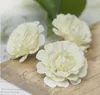 Höst azalea blomma simulering liten te ros huvud bröllop handled blomma som gör europeisk peony blomma huvud 100pcs / lot y016