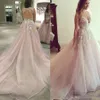 Sexy Deep V Neck Blush Pink Dresses A Line Lace Applique Hollow Back Chapel Train Beach Wedding Bridal Gowns Custom Made 403 403