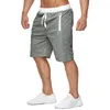 2019 Summer New Men's Casual Shorts jogger Sport Zipper Splice Mesh Breathable Comfortable Beach Shorts Bodybuilding Solid color Shorts