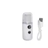 Appareil de pulvérisation USB PORTABLE Hydrating Spray Mini Nano Handy Mist Spray USB RECHARGable MINI BEAUTY INSTRUMENT EEA16855955439