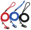 Nylon Rope Dog whisperer Cesar Millan style Slip Training Leash Lead and Collar Red Blue Black Colors