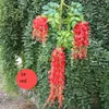 9 Farben elegante künstliche Seidenblume Wisteria Blumenrebe Rattan für Garten Haus Hochzeit Dekoration Lieferungen 110 cm verfügbar JXW108