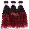 Brésilien Vierge Cheveux Crépus Bouclés Vague VMAE Ombre 1B Bourgogne Rouge Brésilien Cheveux Extension armure Bundles 3 pcs