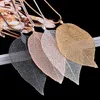 Fashion Sweater Coat Halsband damer Tjejer Special Leaves Leaf Pendant Halsband Långkedja Smycken för Kvinnor Gift 4 Färger Gratis frakt