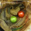 Koraliki Premium Perły słodkowodne podwójne ostrygi Perły 6-7 mm okrągłe nieotwarte/indywidualne próżniowe za darmo