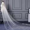 Real Image 2020 Selling 3 Meters Long Cheapest Cathedral Length Ivory Champagne Bridal Veils with Comb Veu De Noiva Longo Wed2367390