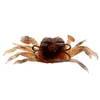 100 мм 334G Crab Крюк Мягкие приманки приманки замыкают двойные крючки 3 Цветные смешанные силиконовые рыбалки 5 кусочков лот WSB316307807