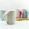 Nordic Wheat Straw Tea Cup Saucer Lid Infuser Tea Cup Nordic Style Wheat Straw Couple Mug Plastic Office Tea Cup