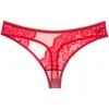 Sexy Gauze Lace G Strings Panties Low Rise Voir à travers la lingerie Femme sous-vêtements pour femmes Vêtements pour femmes vêtements