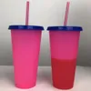 24oz Farbwechselbecher PP-Material Temperaturfühlbecher Skinny Tumblers Kaffeetasse Becher Wasserflaschen mit Strohhalmen ZZA845