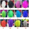 Ostrich Feather Plume Färgglada fjädrar för hantverk kostym Tillbehör Tabell Bröllopsfödelsedag Centerpieces 12Colors Välj XD20708