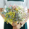 Sztuczne kwiaty Kolorowe Gypsophila Długie łodygi Fałszywe Kwiaty Bukiet Babys Oddech Jedwab Kwiaty Wedding Party Decoration EEO295