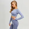 Dikişsiz 2 Parça Kadın Yoga Set Spor Giyim Spor Tayt + Kırpılmış Sutyen Spor Takım Elbise Kadınlar Uzun Kollu Eşofman Aktif Giyim T200615