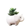 Potenciômetro suculento Flor Cerâmica Hipopótamo Branco Branco Europeu Jardinagem Criativa Plantador Balcão Desktop Potted Animal Decoração de Mesa