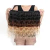 Indian Raw Virgin Hair Body Wave 4 Bunds 100% Human Hair 1B/4/27 Three Tones Color 1B 4 27 Hår wefts Body Wave billig