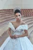 2020 New Hot Elegant Ball Gown Wedding Dresses Off Shoulder Lace 3D Appliques Flowers Beaded Corset Back Chapel Train Plus Size Bridal Gowns
