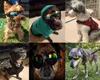 Óculos de sol para cães, óculos de sol para cães, golden retriever, samoiedo, proteção para os olhos de cachorro grande