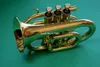 Sprzedawanie mini Jowisz JPT416 BB Pocket Trumpet Gold Brass Instrument muzyczny z akcesoriami spraw 8322225