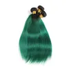 Cheveux vierges brésiliens péruviens cheveux humains indiens raides 1B / violet 1B / 350 Ombre couleur 1B / vert 1B / rose faisceaux de cheveux malaisiens 3PCS