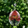 Torkad blommahalsband glassträd av liv terrarium halsband kvinnor barn mode smycken vilja och sandiga