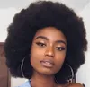 Afro Kinky Curly Wigs For Women Pre Plucked Brazilian Human Hair Wigs 8 inch Short Lace Front Wig