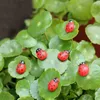 XBJ006 Konstgjorda 10 st Lady Beetle Ornament Garden Miniatyrer Gnomes Moss Terrarium Hantverk Figuriner för hemträdgårdsinredning