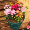 100 pcs bag 8 أنواع اللون المعمر chrysanthemum bextai bonsai من السهل زراعة محطة زهرة للمنزل بونساي النباتات 206t