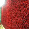 New Arrival 240x240cm Upscale Hydrangea Flower Wall Set with Stand DIY Wedding Background Decorations Free Delivery