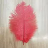 15-20cm / 6-8 "Natural Goose Feathers Plume Wedding Centerpieces Heminredning Kläder Tillbehör Party DecorAction Supply Pack 100