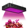 2000W SMD3030 LED Grow Light 380 ~ 850nm Volledige spectrum Groeiende lichtarmaturen Rode UV IR voor indoor kruiden en planten vervangen HPS-licht