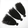 VMAE 몽골어 레미 처녀 머리 아프로 비꼬 곱슬 씨실 3 번들 4A (b) (c) 곱슬 되죠 인간의 머리카락 확장 흑인 여성