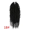 Bomb Twist Crochet Hair 14 pouces Spring Twist Tressage Passion Twist Pré-boucle Crochet Synthétique Extension de Cheveux Fluffy Twisted Dreadlocks Cheveux pour Femmes LS02